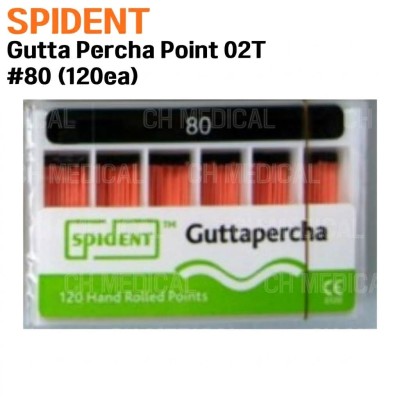SPIDENT) Gutta Percha Point 02T #80 (120ea)